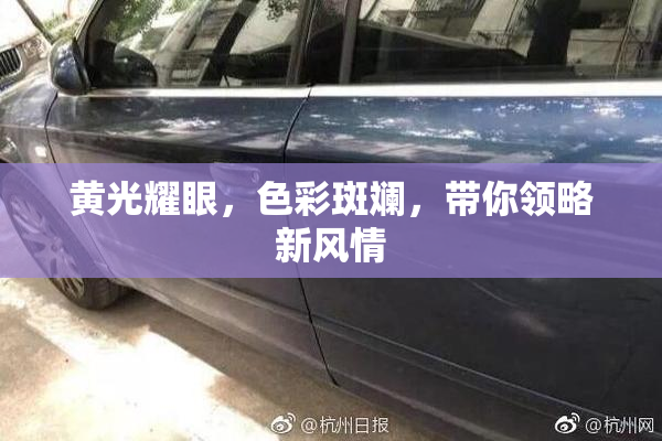 黄光耀眼，色彩斑斓，带你领略新风情