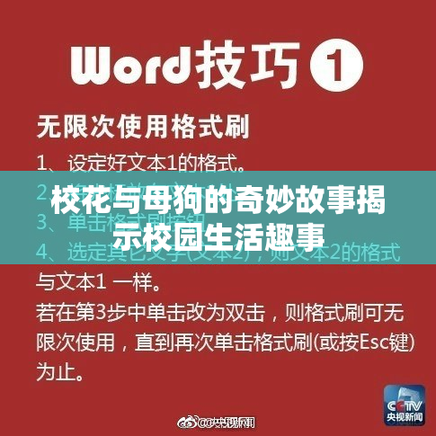 校花与母狗的奇妙故事揭示校园生活趣事