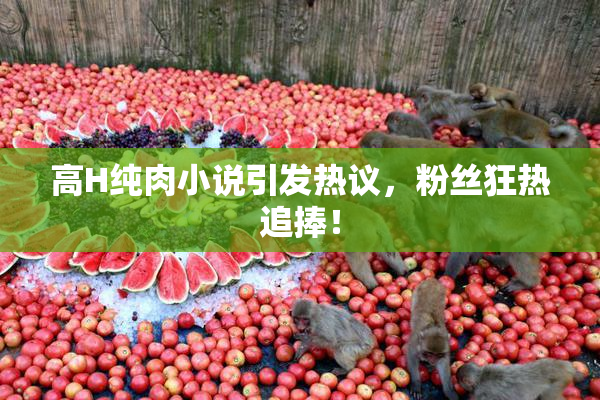 高H纯肉小说引发热议，粉丝狂热追捧！