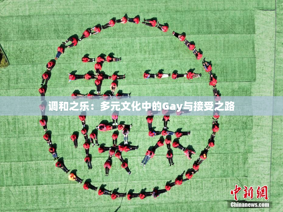调和之乐：多元文化中的Gay与接受之路