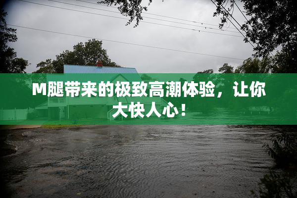 M腿带来的极致高潮体验，让你大快人心！