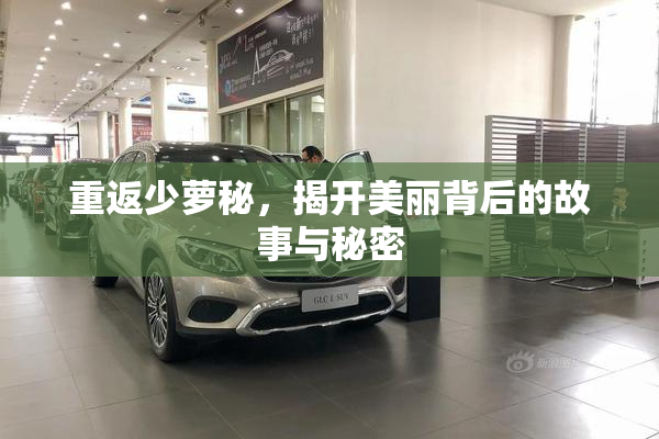 重返少萝秘，揭开美丽背后的故事与秘密