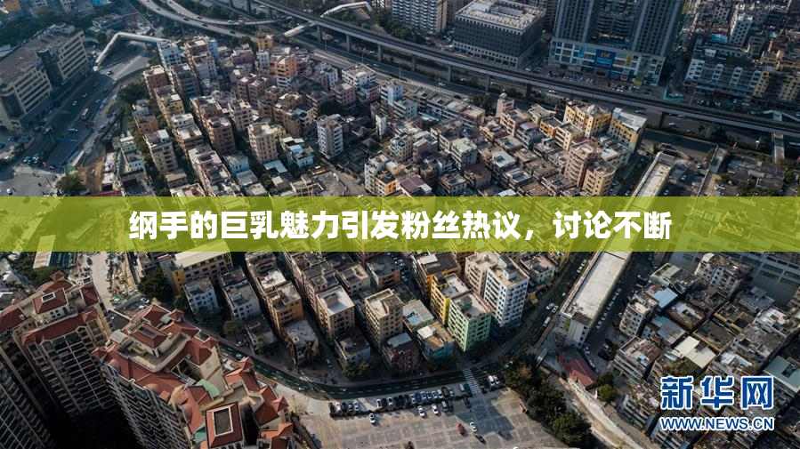 纲手的巨乳魅力引发粉丝热议，讨论不断