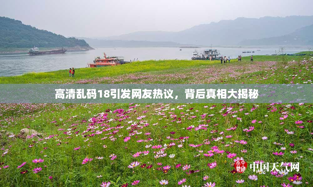 高清乱码18引发网友热议，背后真相大揭秘