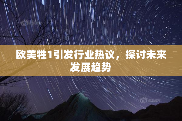 欧美牲1引发行业热议，探讨未来发展趋势