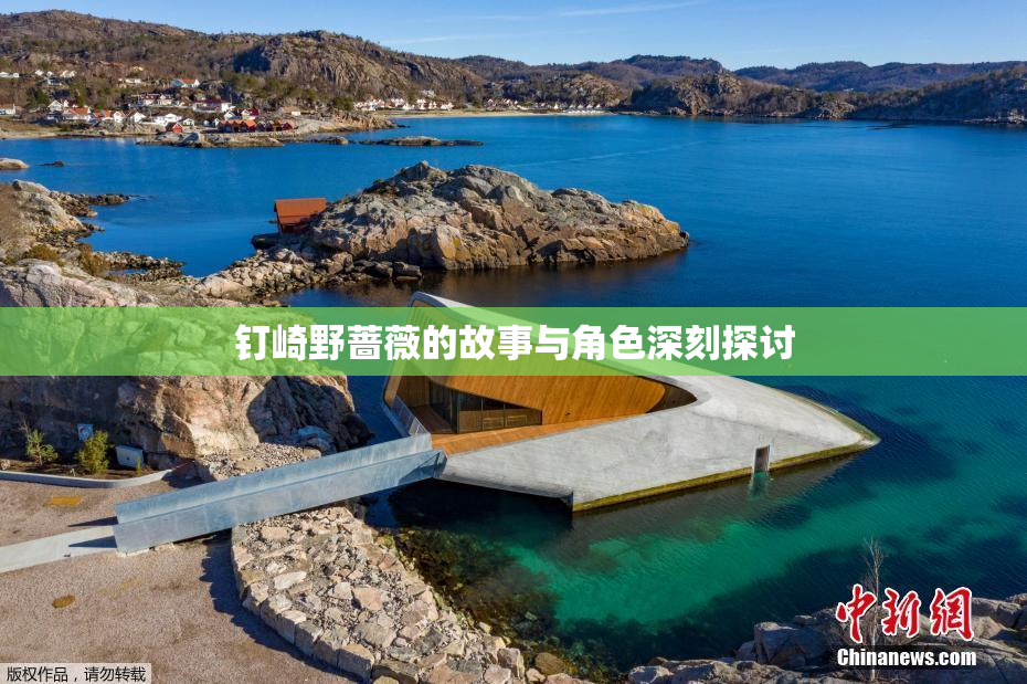 钉崎野蔷薇的故事与角色深刻探讨