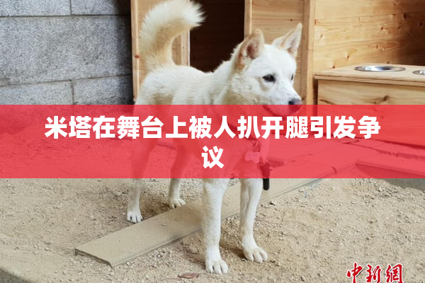米塔在舞台上被人扒开腿引发争议