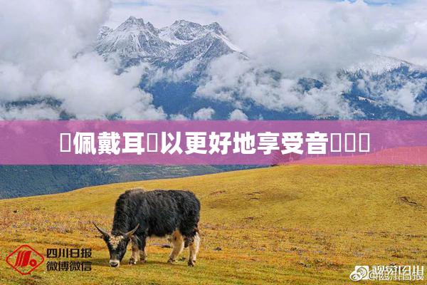 請佩戴耳機以更好地享受音樂體驗