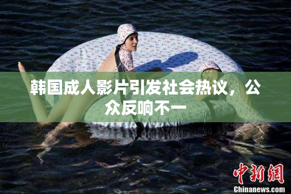 韩国成人影片引发社会热议，公众反响不一