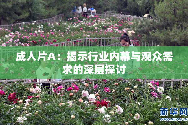 成人片A：揭示行业内幕与观众需求的深层探讨
