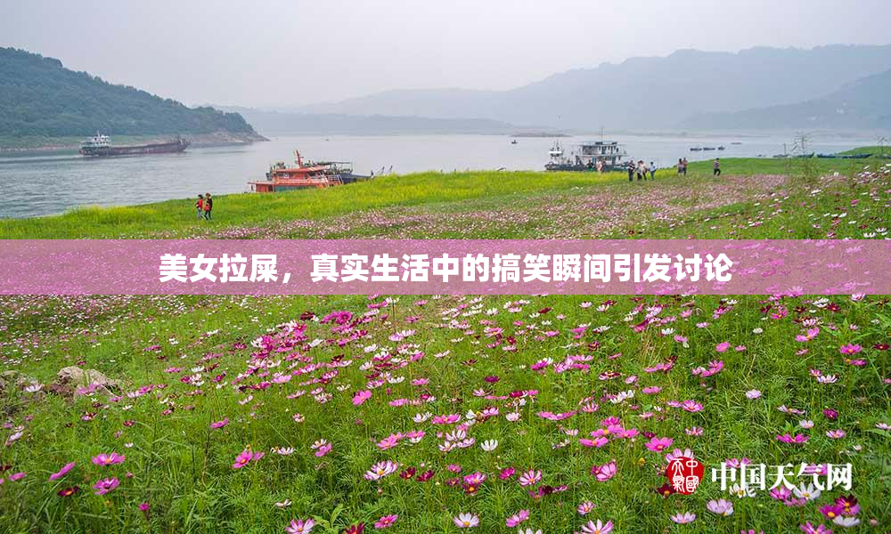 美女拉屎，真实生活中的搞笑瞬间引发讨论