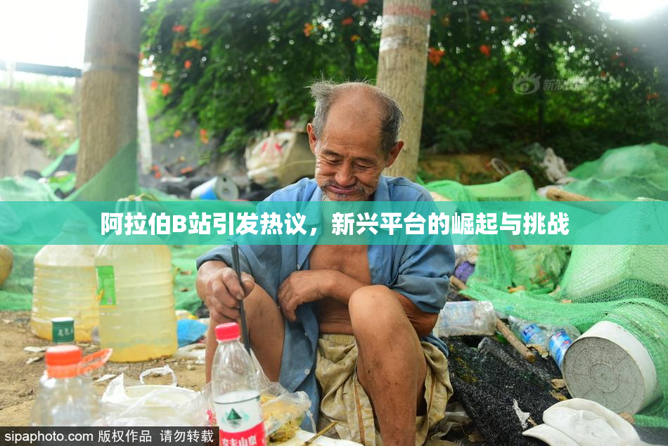 阿拉伯B站引发热议，新兴平台的崛起与挑战