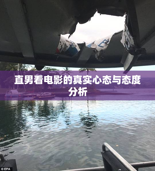 直男看电影的真实心态与态度分析