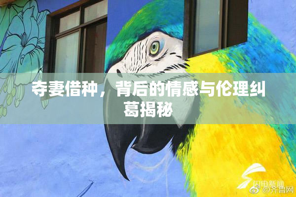 夺妻借种，背后的情感与伦理纠葛揭秘
