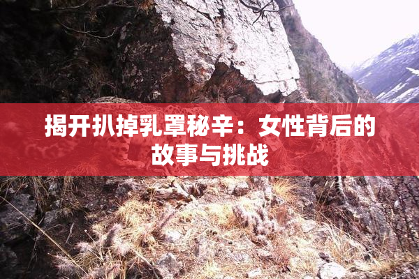 揭开扒掉乳罩秘辛：女性背后的故事与挑战
