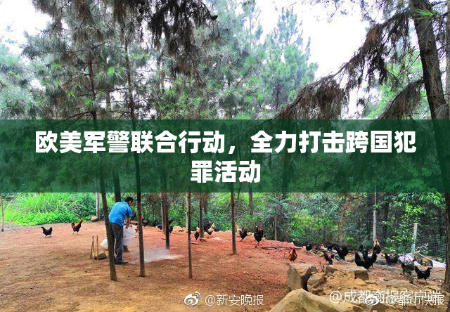 欧美军警联合行动，全力打击跨国犯罪活动