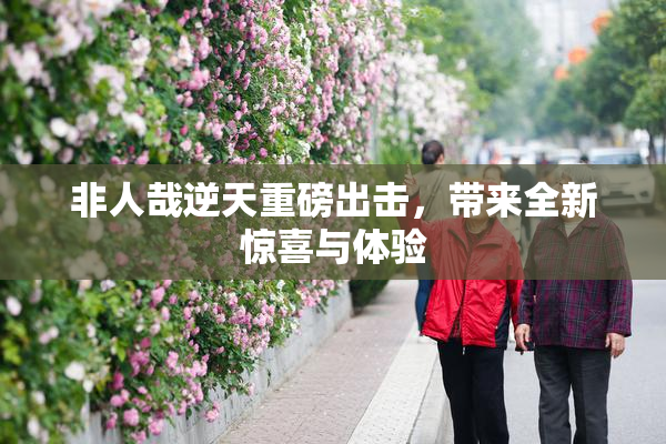 非人哉逆天重磅出击，带来全新惊喜与体验