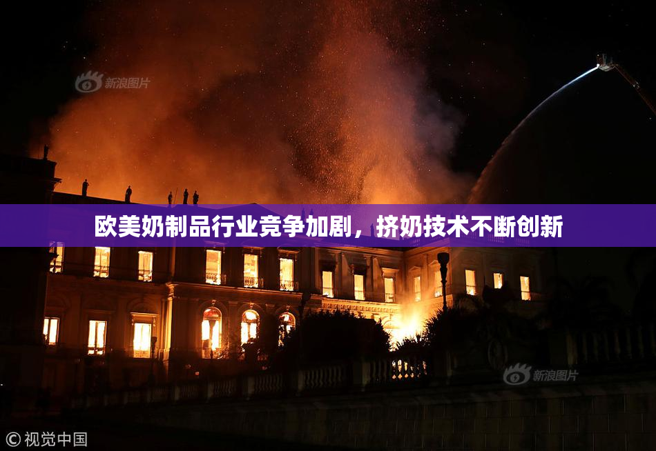 欧美奶制品行业竞争加剧，挤奶技术不断创新
