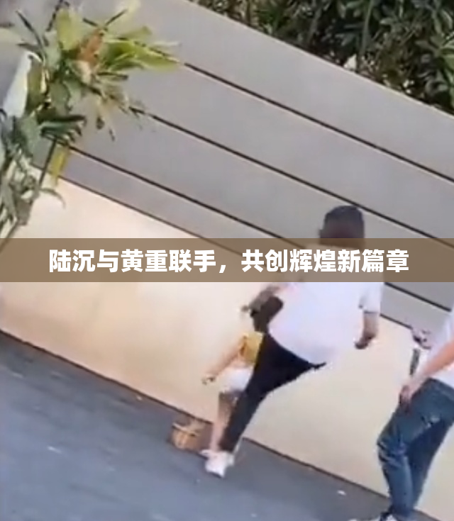 陆沉与黄重联手，共创辉煌新篇章