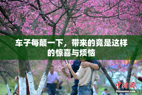 车子每颠一下，带来的竟是这样的惊喜与烦恼