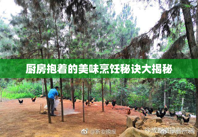 厨房抱着的美味烹饪秘诀大揭秘
