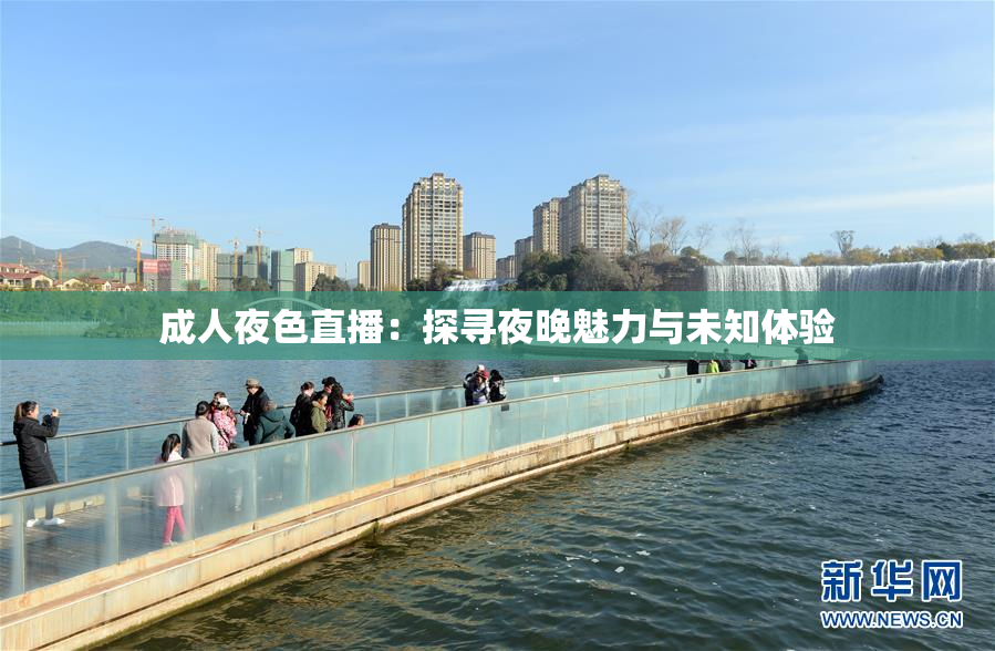 成人夜色直播：探寻夜晚魅力与未知体验