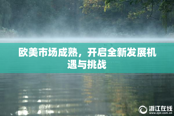 欧美市场成熟，开启全新发展机遇与挑战