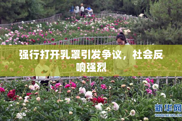 强行打开乳罩引发争议，社会反响强烈