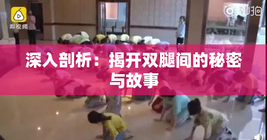 深入剖析：揭开双腿间的秘密与故事
