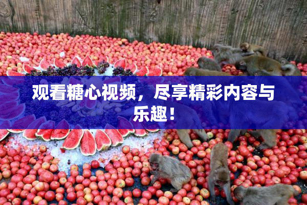 观看糖心视频，尽享精彩内容与乐趣！