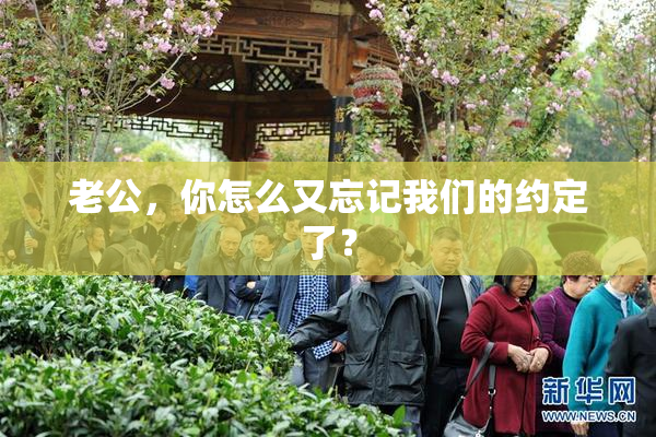 老公，你怎么又忘记我们的约定了？