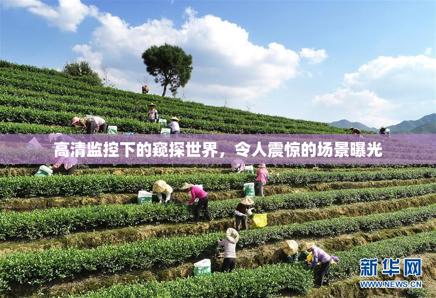 高清监控下的窥探世界，令人震惊的场景曝光