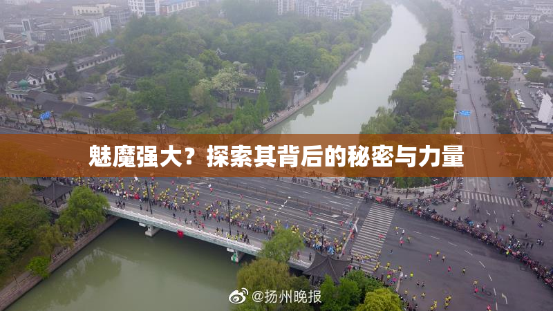 魅魔强大？探索其背后的秘密与力量