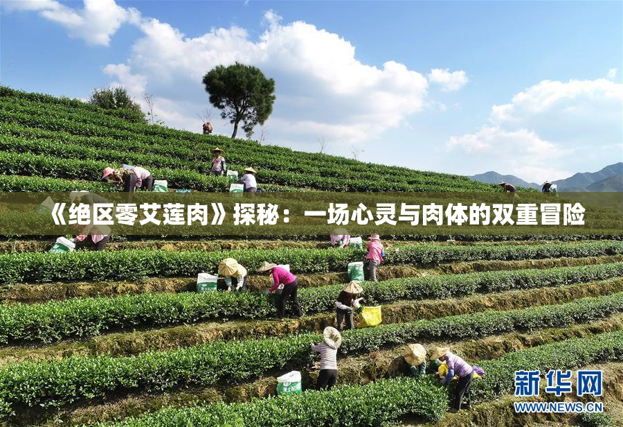《绝区零艾莲肉》探秘：一场心灵与肉体的双重冒险