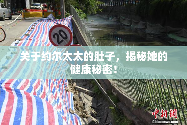 关于约尔太太的肚子，揭秘她的健康秘密！