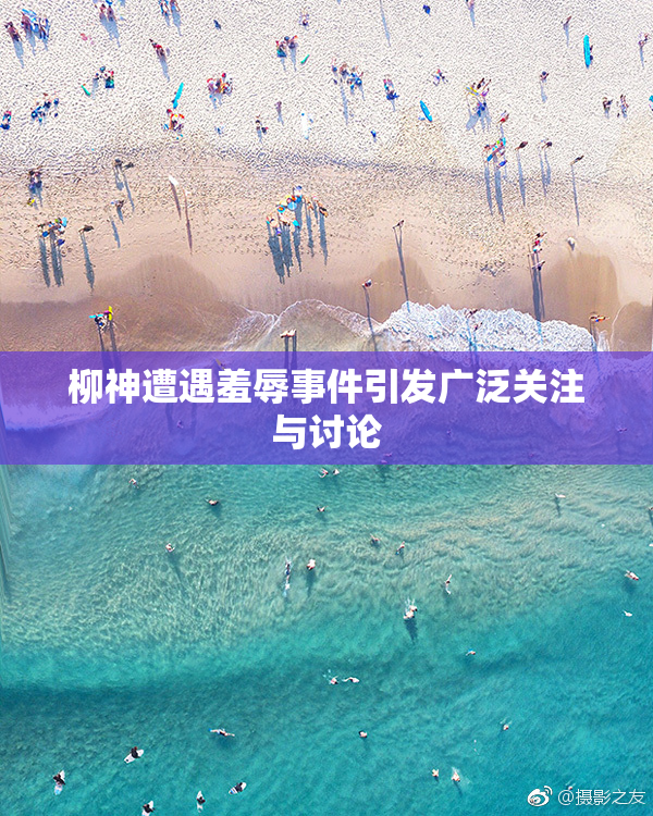 柳神遭遇羞辱事件引发广泛关注与讨论