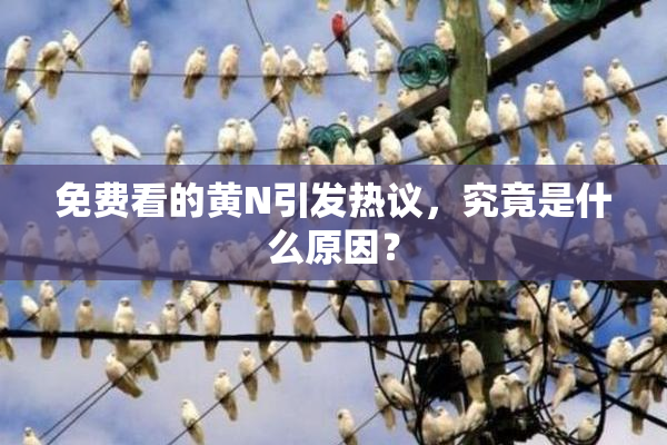 免费看的黄Ν引发热议，究竟是什么原因？