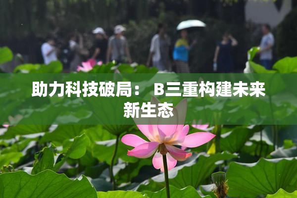 助力科技破局： B三重构建未来新生态