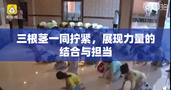 三根茎一同拧紧，展现力量的结合与担当