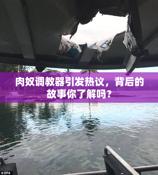 肉奴调教器引发热议，背后的故事你了解吗？