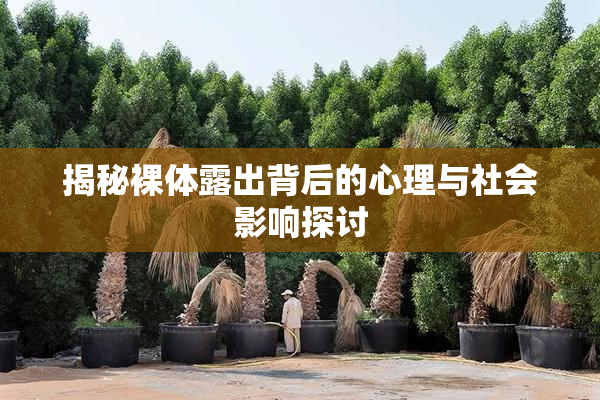 揭秘裸体露出背后的心理与社会影响探讨