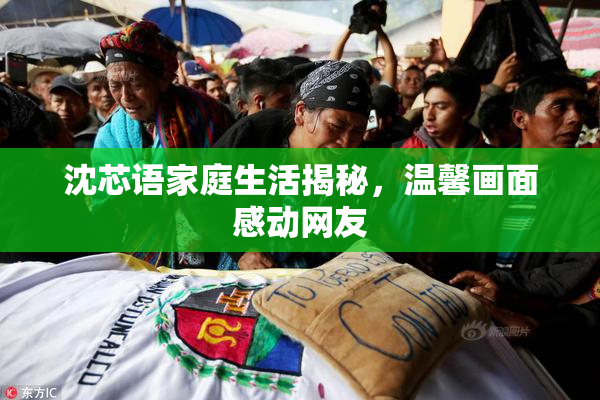 沈芯语家庭生活揭秘，温馨画面感动网友