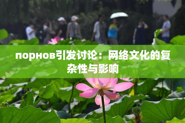 порнов引发讨论：网络文化的复杂性与影响