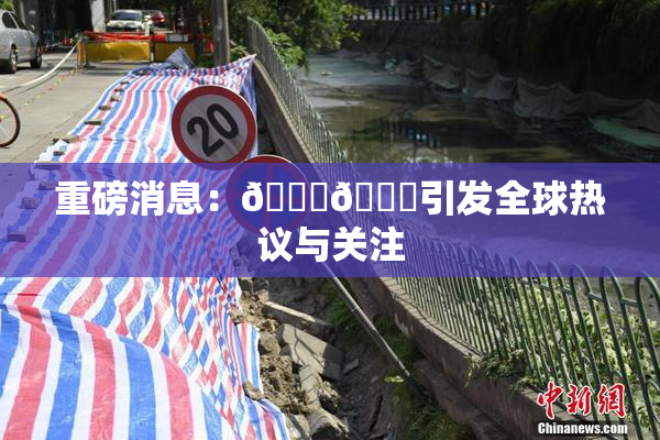重磅消息：🔞🔞引发全球热议与关注