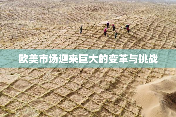 欧美市场迎来巨大的变革与挑战