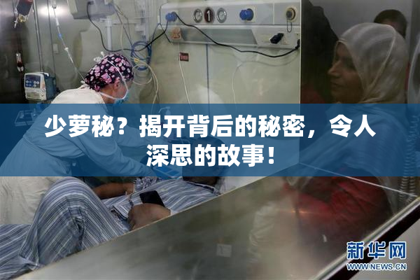 少萝秘？揭开背后的秘密，令人深思的故事！