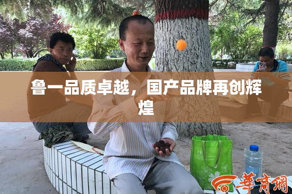 鲁一品质卓越，国产品牌再创辉煌