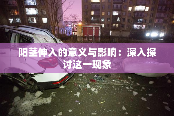阳茎伸入的意义与影响：深入探讨这一现象