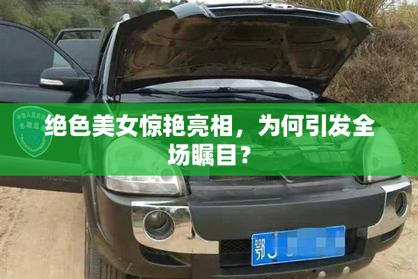绝色美女惊艳亮相，为何引发全场瞩目？