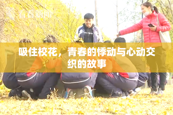 吸住校花，青春的悸动与心动交织的故事